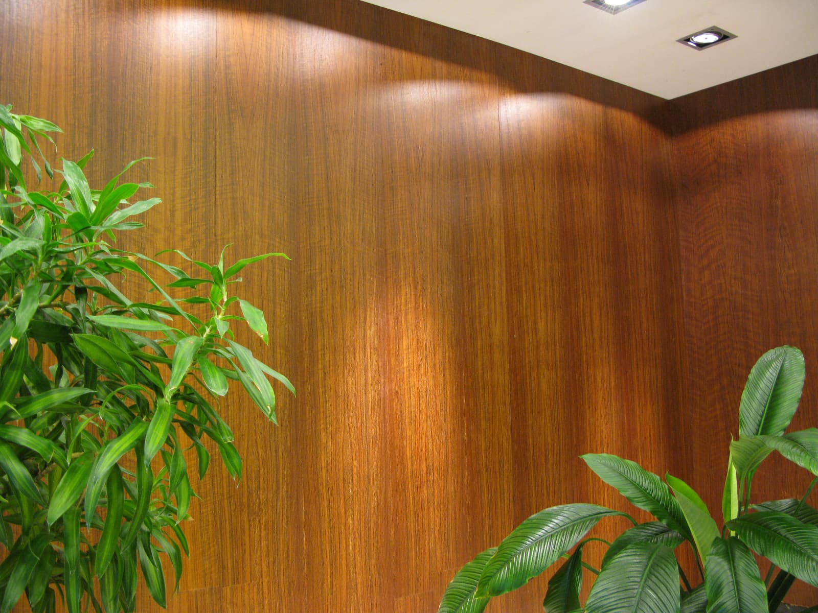 Шпонированные стеновые панели крупный план